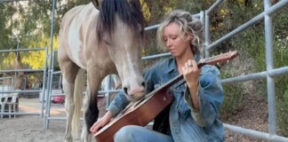 A Real Rockin’ Horse: Music Tames a Rescue Foal Who Learns to ‘Play’ Instruments for Album Debut