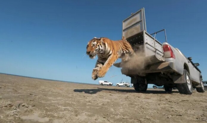 - credit, Ministry of Ecology of Kazakhstan
