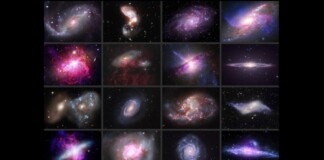 Astronomers Create Gallery of 16 ‘Cosmic Gems’ to Show Variety of Shapes a Galaxy Can Be