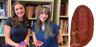 Newly Identified Frog-like Creature Named by Student Scientists After Their Moms