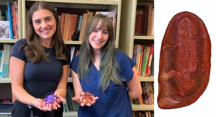 Allison Sefcovic and Payton Kohlberg hold epoxy sculptures of new species Jeanerpeton mazonensis Credit Chicago Field Museum