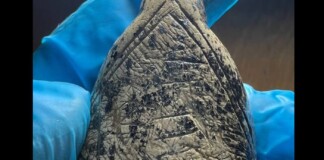 Cavemen Used Mammoth Tusk Patterns to Create Unique Art, Reveals New Research