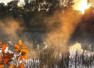 “Autumn arrives in early morning, but spring at the close of a winter day.” – Elizabeth Bowen