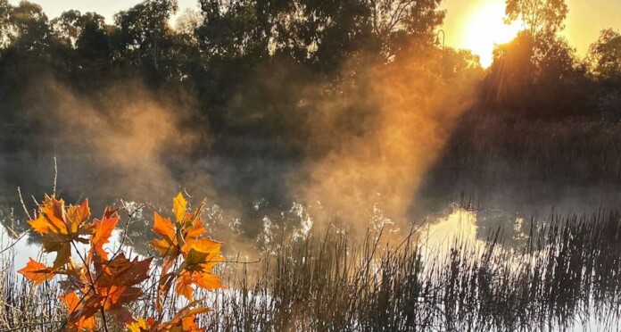 Morning mist in Autumn w leaves by Jonny Clow u4FLSVOj-Js-unsplash