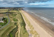Coastal Golf Course Turned into Vital Wetland Habitat for Seabirds