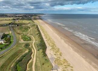 Coastal Golf Course Turned into Vital Wetland Habitat for Seabirds