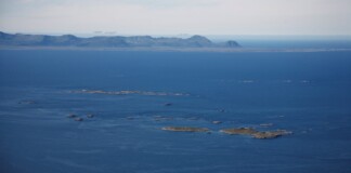 Norway’s Newest Marine Protected Area Shelters Rich Marine Habitat, Whales, and Seabirds