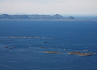 Norway’s Newest Marine Protected Area Shelters Rich Marine Habitat, Whales, and Seabirds