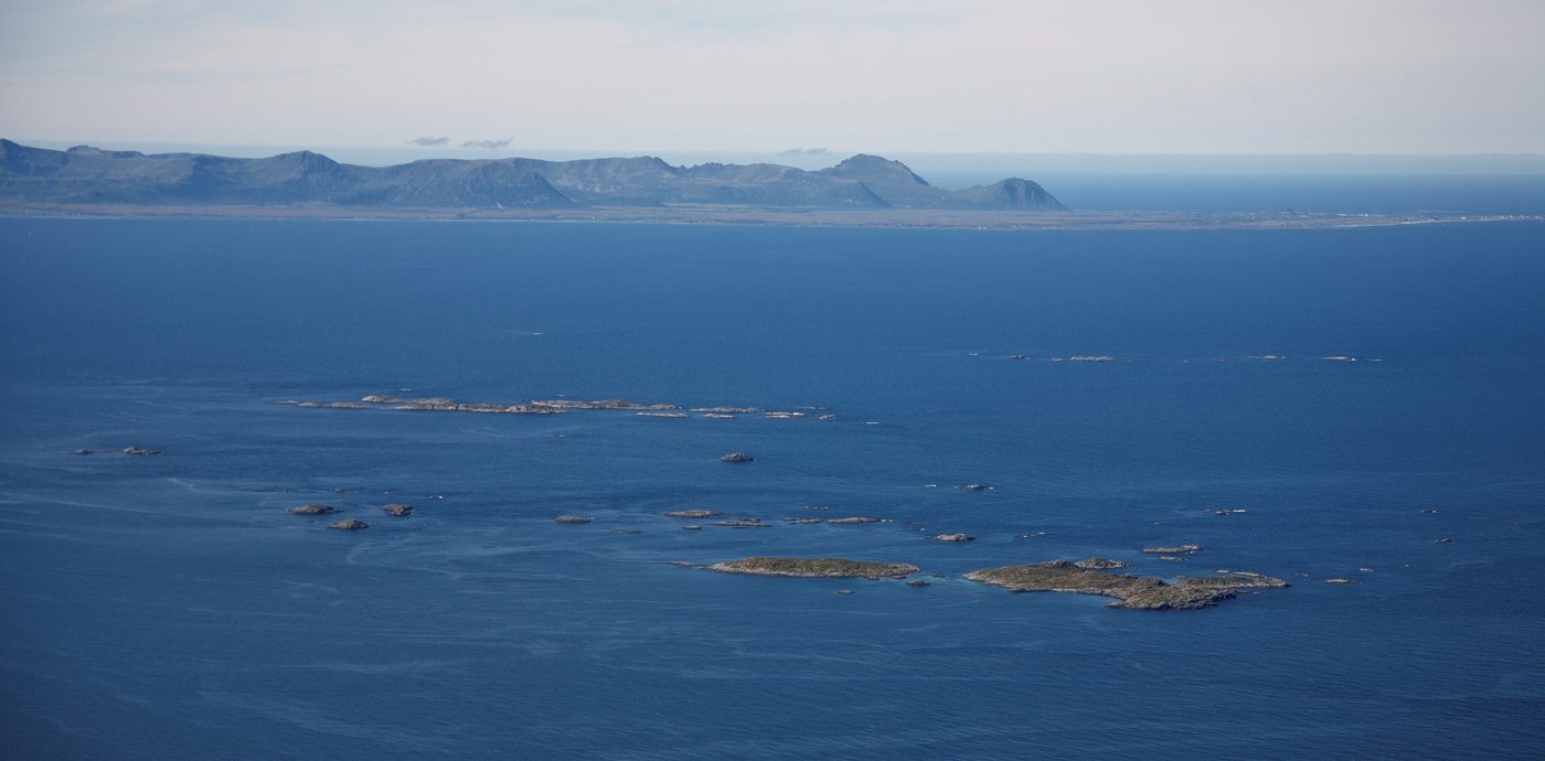 Norway’s Newest Marine Protected Area Shelters Rich Marine Habitat, Whales, and Seabirds