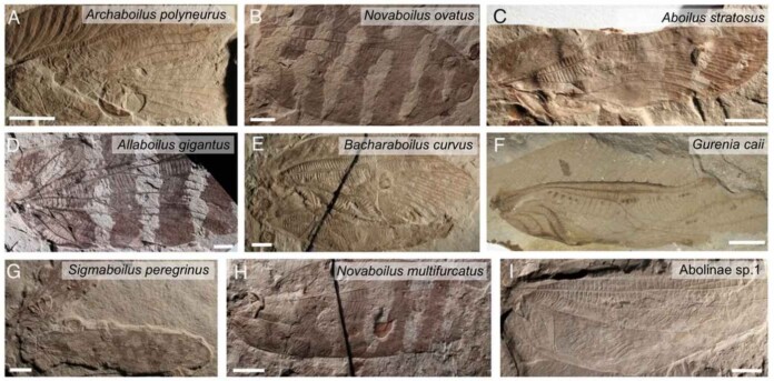 - credit, Jun-Jie Gu et al., PNAS 2026