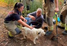 A Terrier Rescued After Spending 2 Days Underground Lost in a Badger Warren