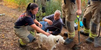 A Terrier Rescued After Spending 2 Days Underground Lost in a Badger Warren
