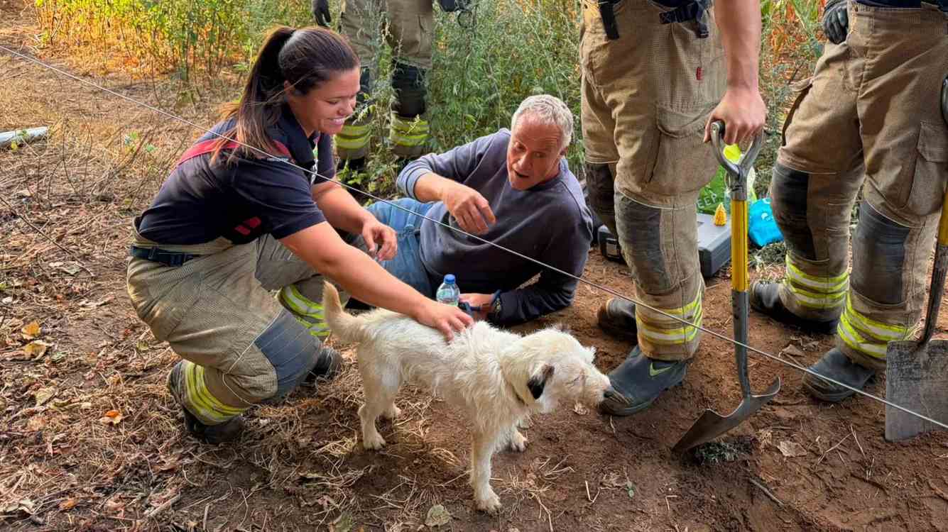 Terrier rescued after two days trapped underground in a badger sett