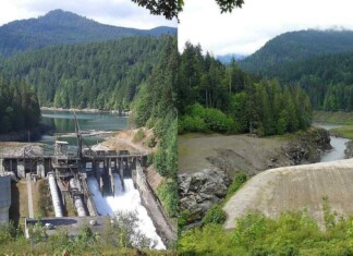 Tribe Just a Signature Away from Recovering 1,100 Ancestral Acres Along Undammed Elwha River
