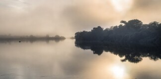 NGO Celebrates 70 Million Amazon Acres Conserved After Protecting Are Called a ‘Link of Life’