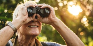 Birdwatching Rewires the Brain and Slows Cognitive Decline