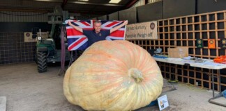 World’s Heaviest Pumpkin Sets Incredible New Record at 2,856 lbs.
