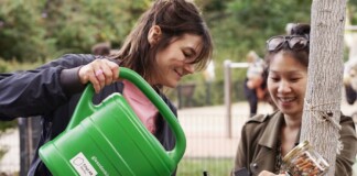 ‘Like Caring for a Pet’ – the App That Lets You Know if Your Neighborhood Tree Is Thirsty